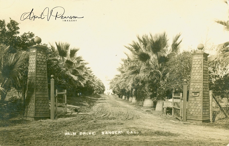 Palm Drive Sanger sepia