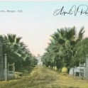 Palm Drive Sanger colorized