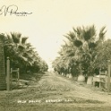 Palm Drive Sanger sepia